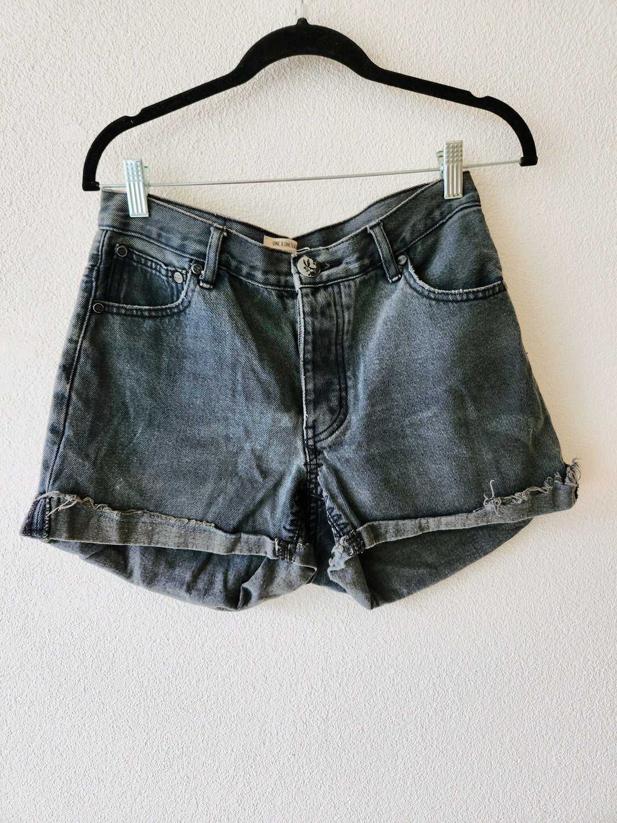 One Teaspoon Shorts 29