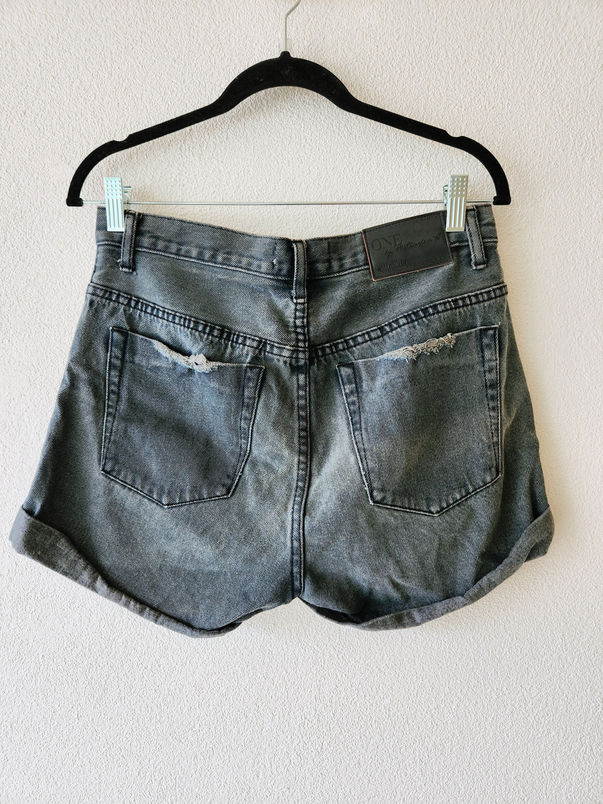 One Teaspoon Shorts 29